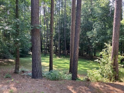 619 Rudy Drive Clayton NC 27520