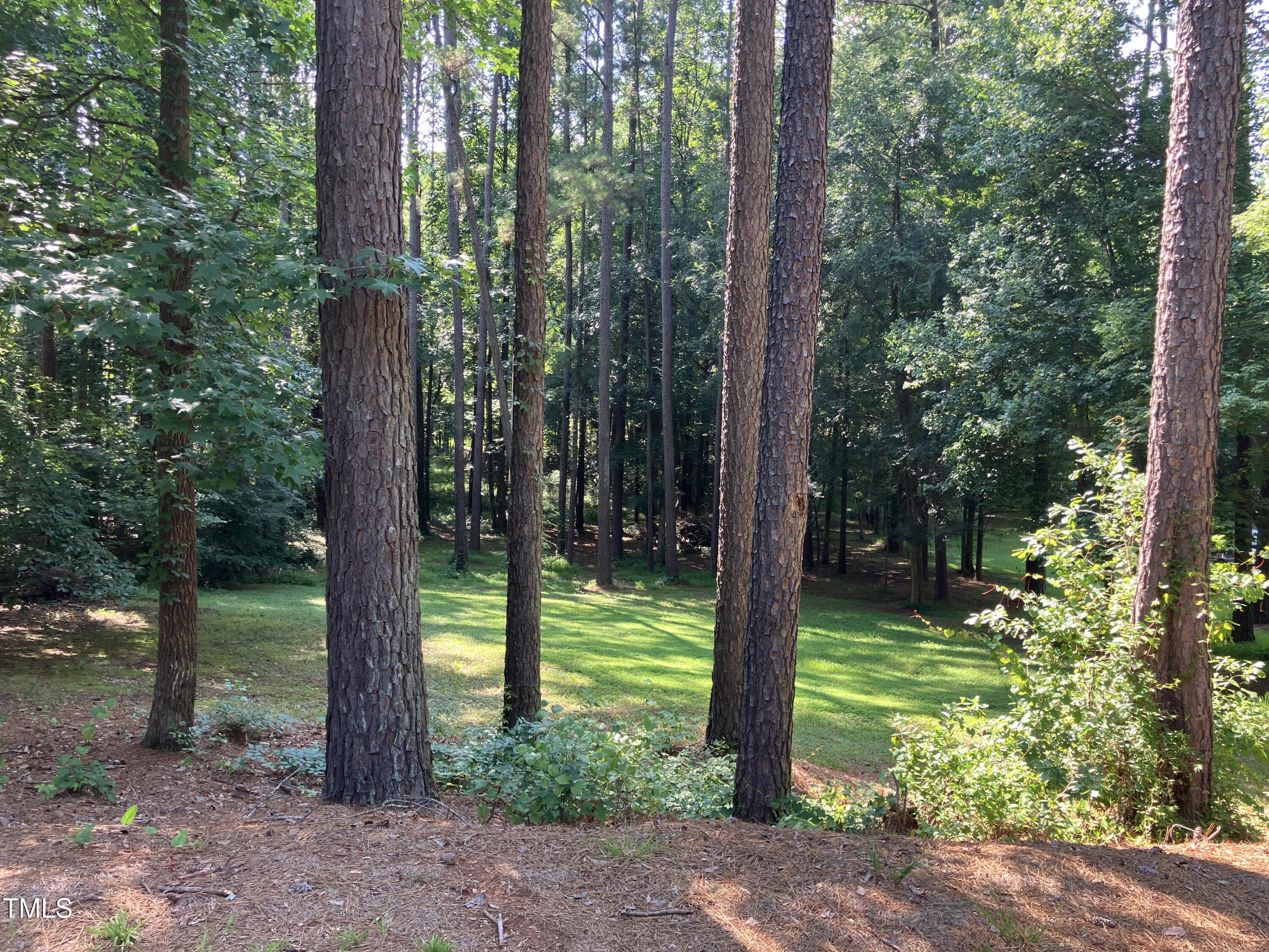 619 Rudy Drive Clayton NC 27520