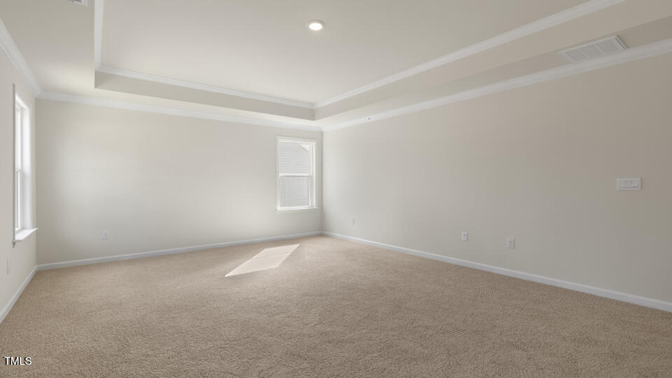 166 Red Jasper Way Clayton NC 27520