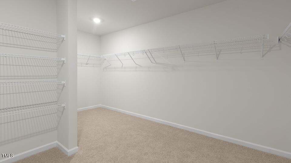 166 Red Jasper Way Clayton NC 27520