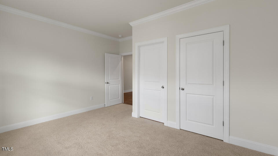 166 Red Jasper Way Clayton NC 27520