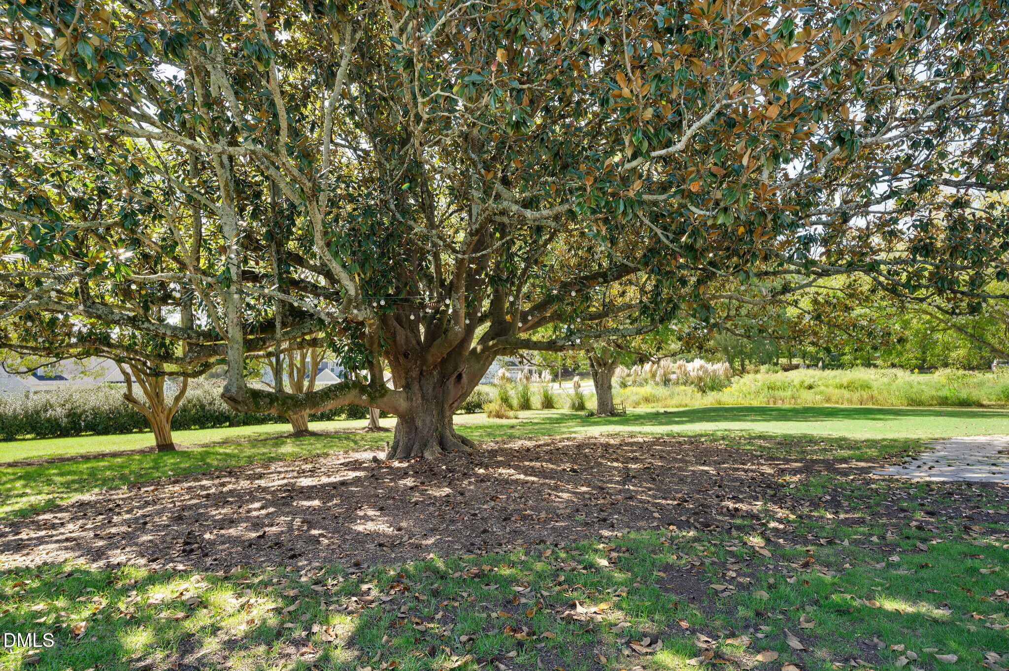 2239 Barber Mill Road Clayton NC 27520