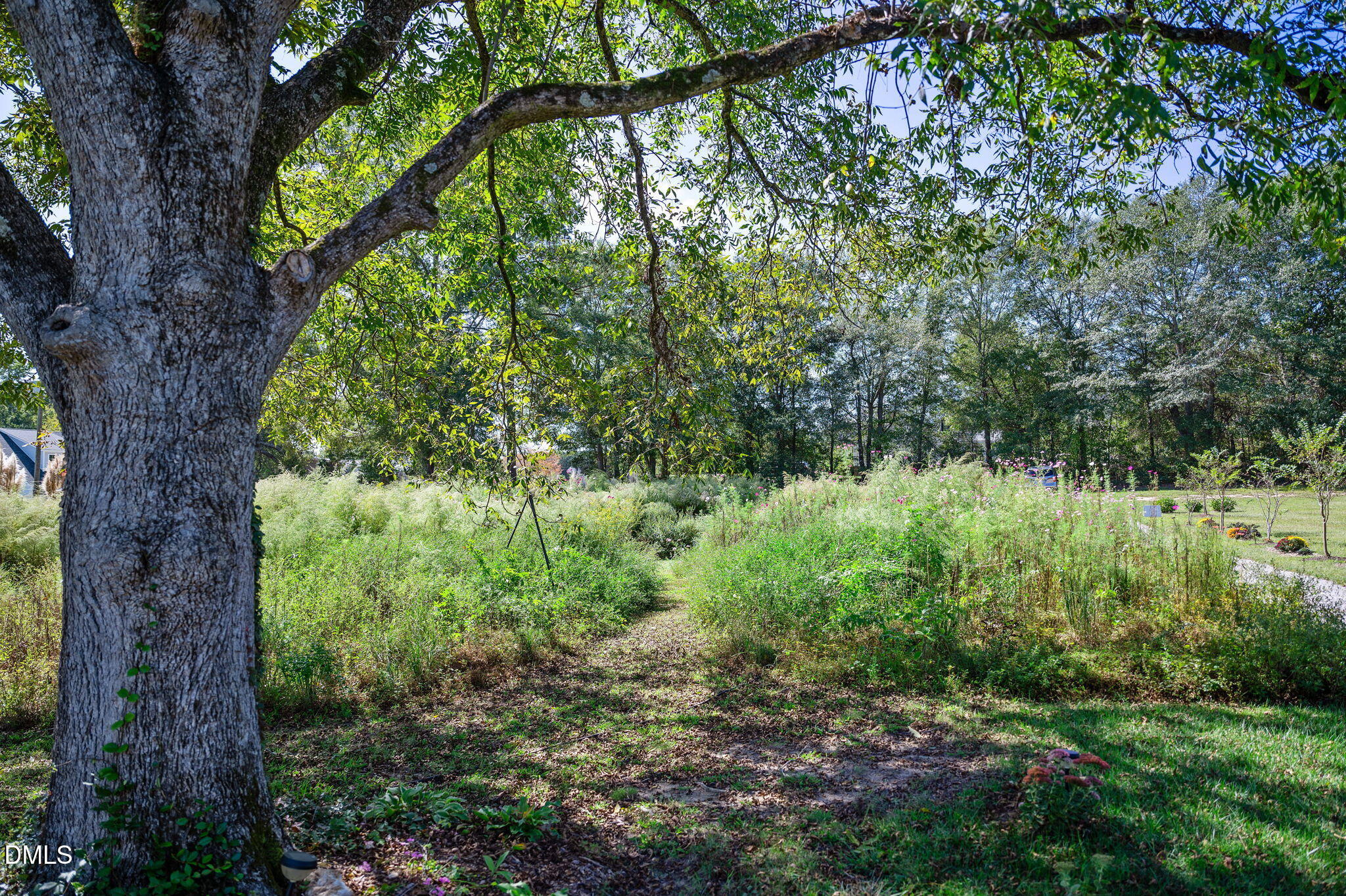 2239 Barber Mill Road Clayton NC 27520