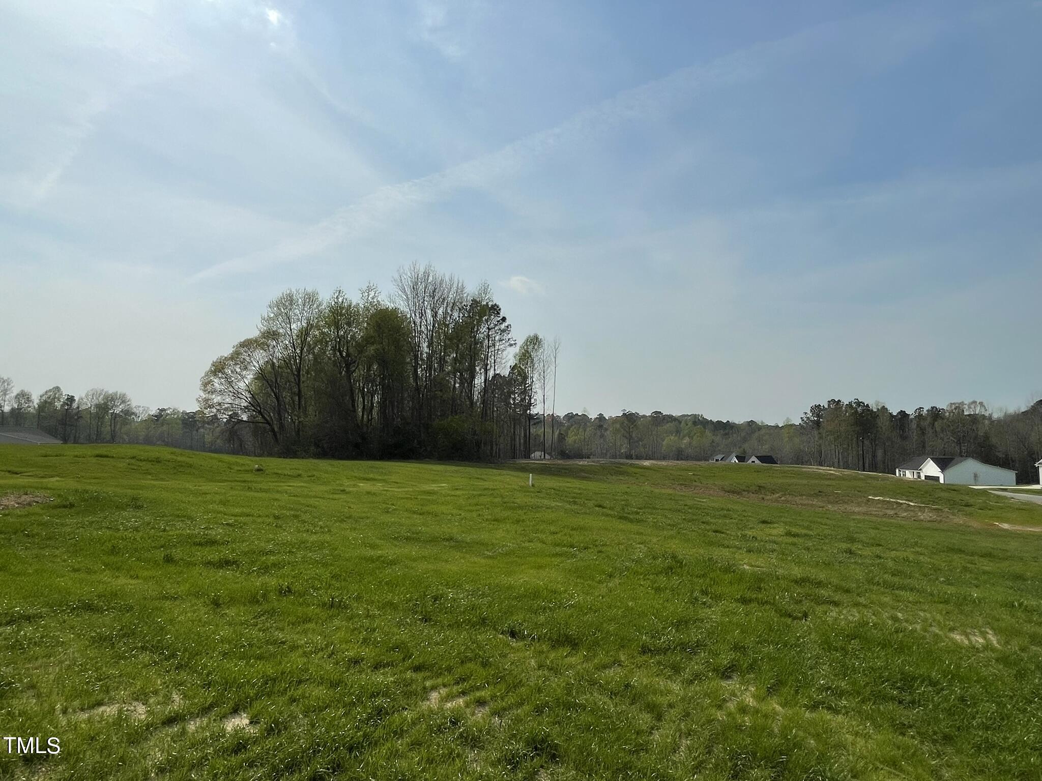 94 Starry Sky Drive Benson NC 27504