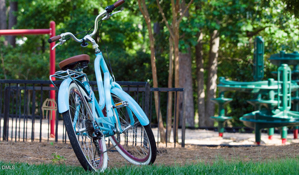 24 Brown Bear Chapel Hill NC 27517