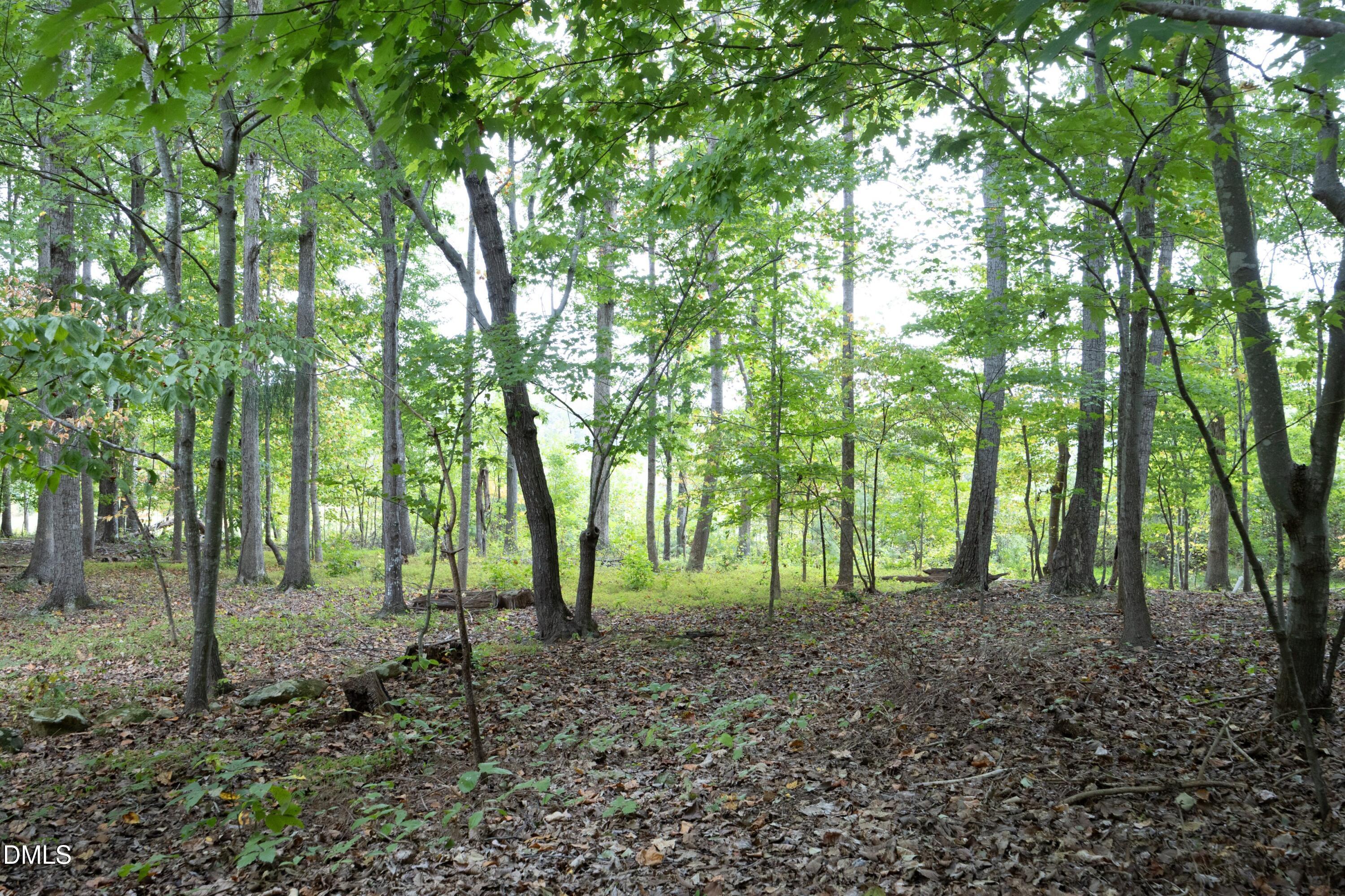 1005 Wood Sage Drive Chapel Hill NC 27516