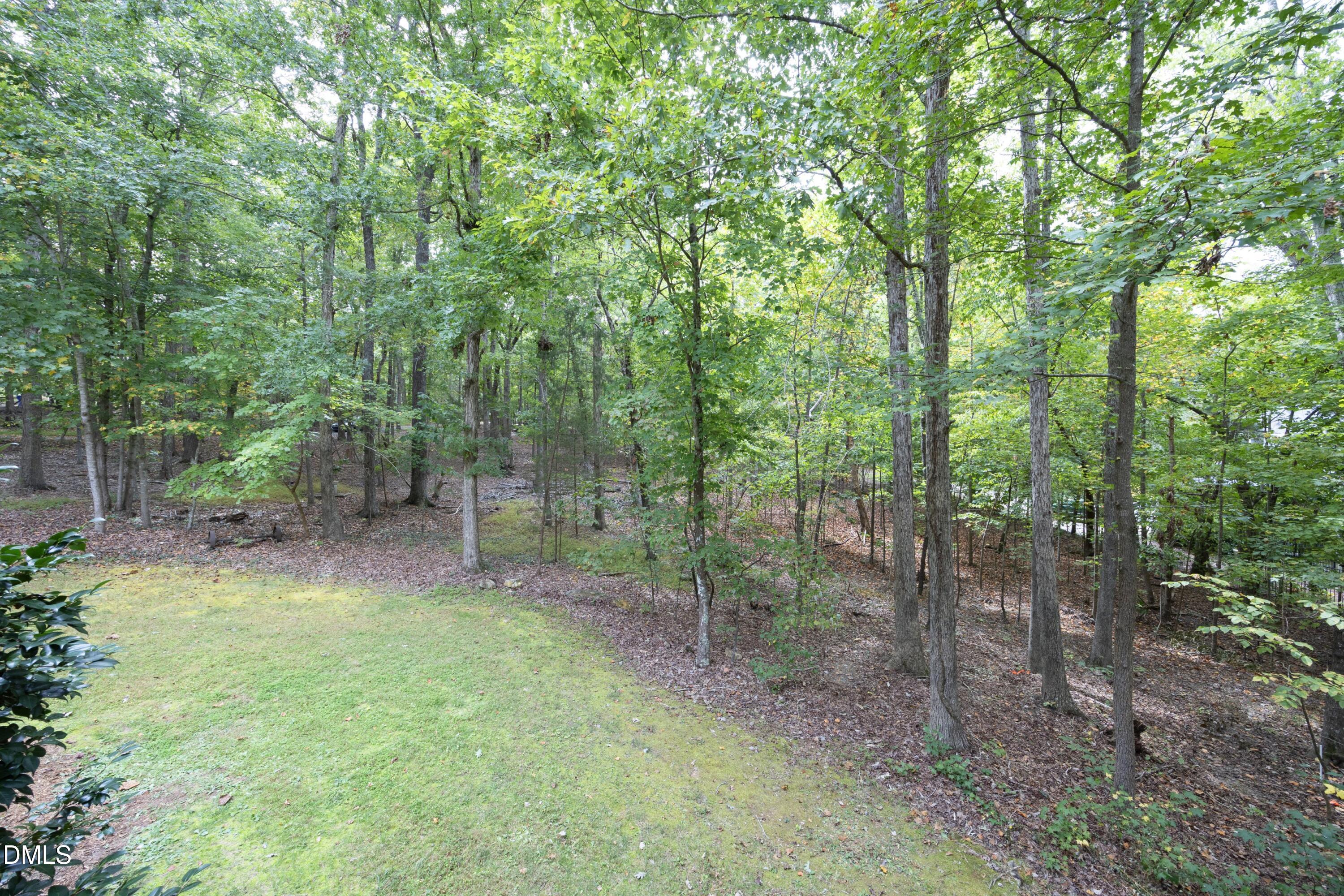 1005 Wood Sage Drive Chapel Hill NC 27516