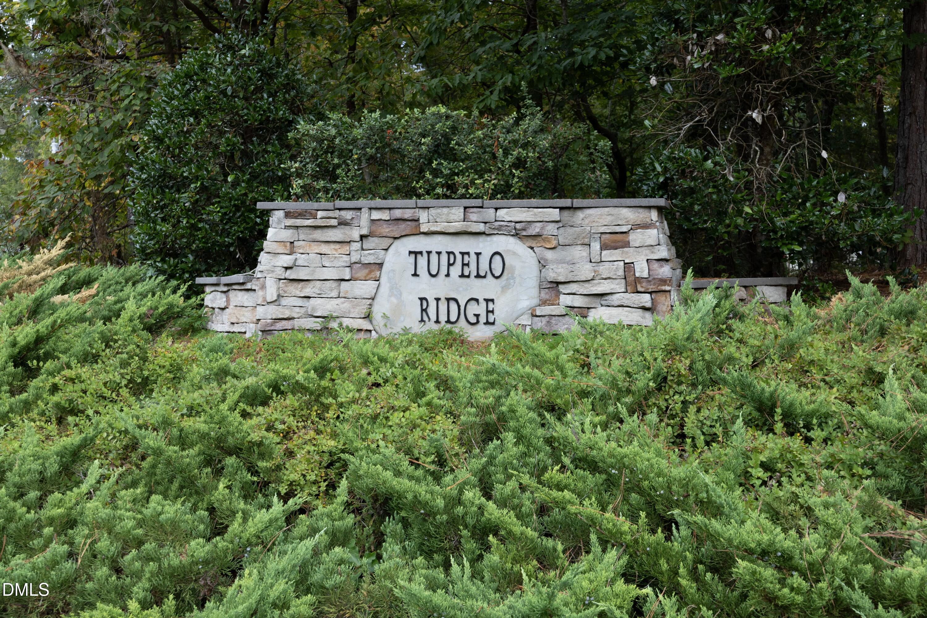 1005 Wood Sage Drive Chapel Hill NC 27516