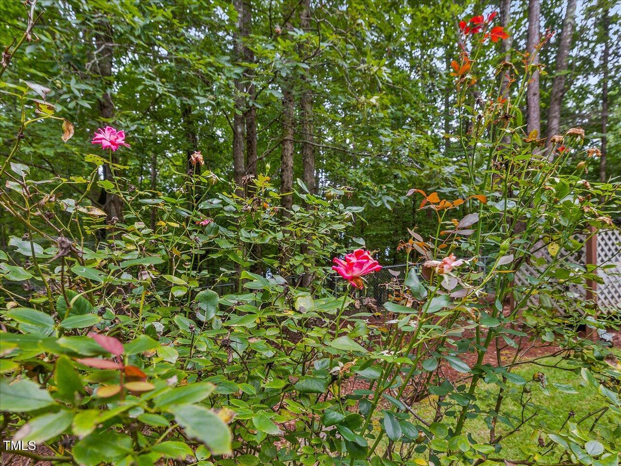 460 Gallup Road Chapel Hill NC 27517