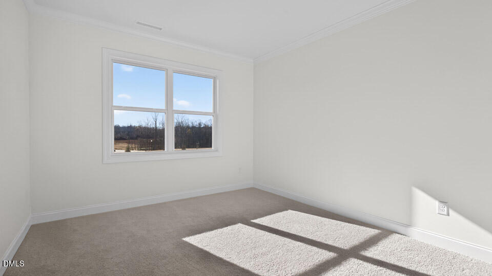 25 West Fire Opal Court Clayton NC 27520