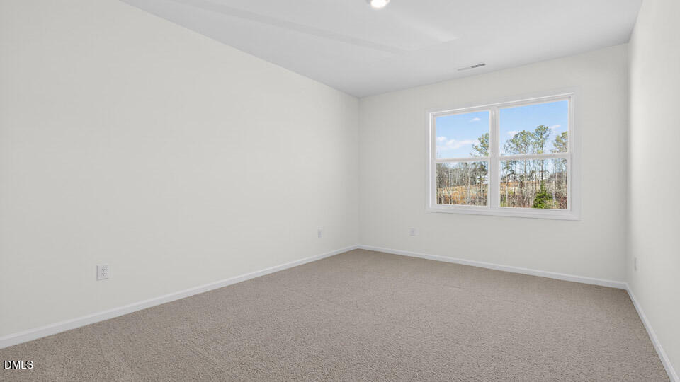 25 West Fire Opal Court Clayton NC 27520