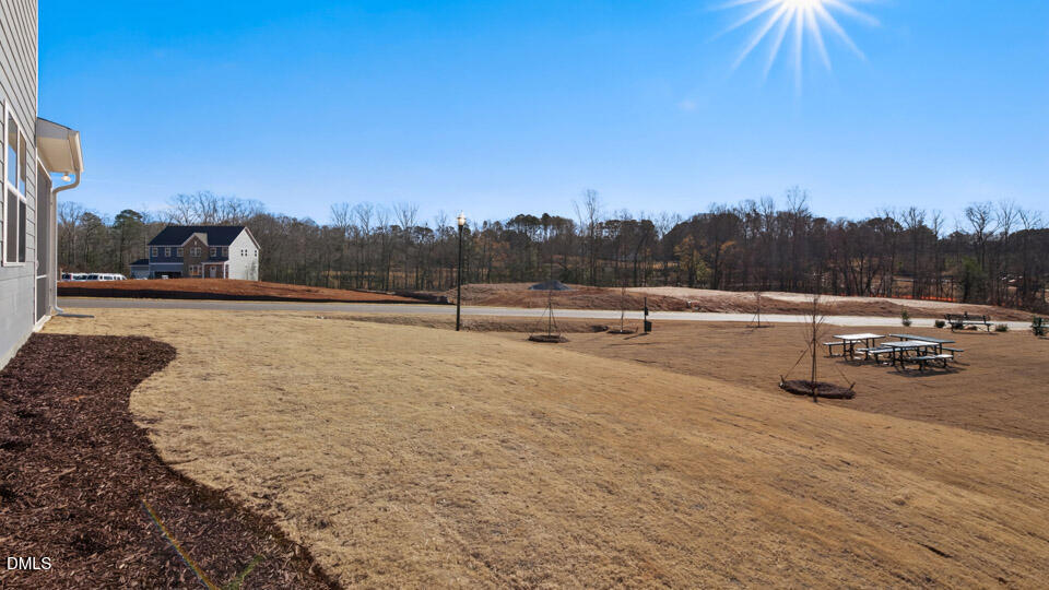 25 West Fire Opal Court Clayton NC 27520