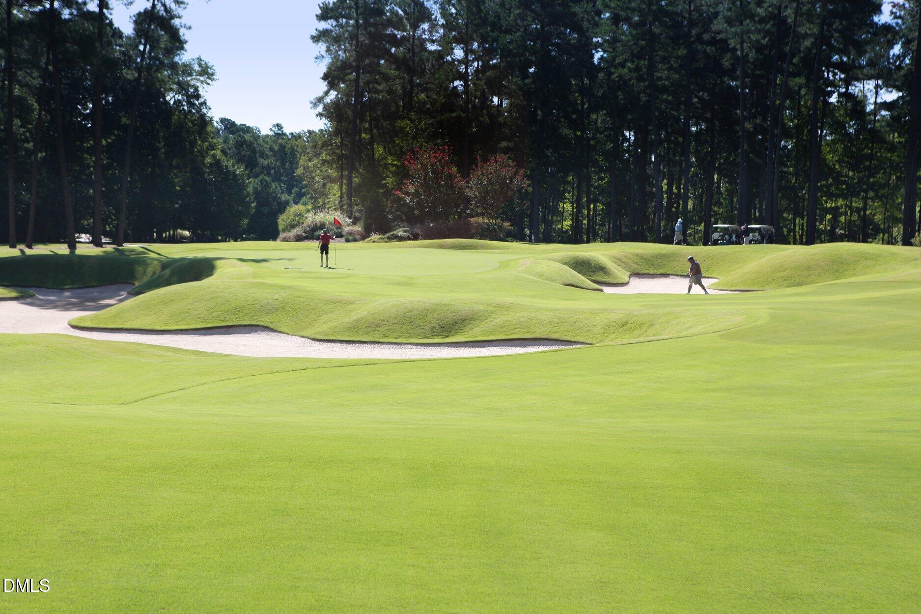 84401 Winslow Chapel Hill NC 27517