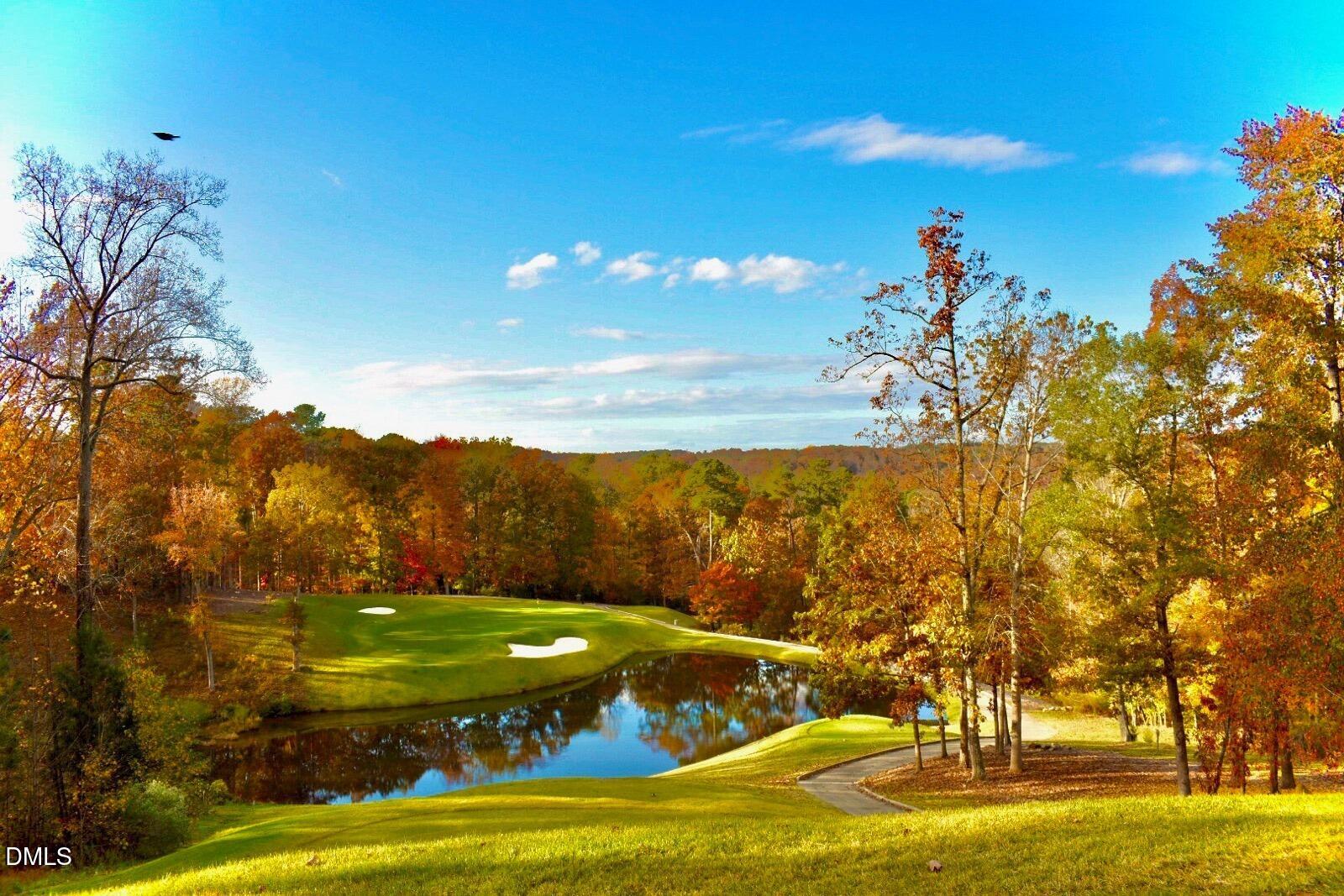 84401 Winslow Chapel Hill NC 27517