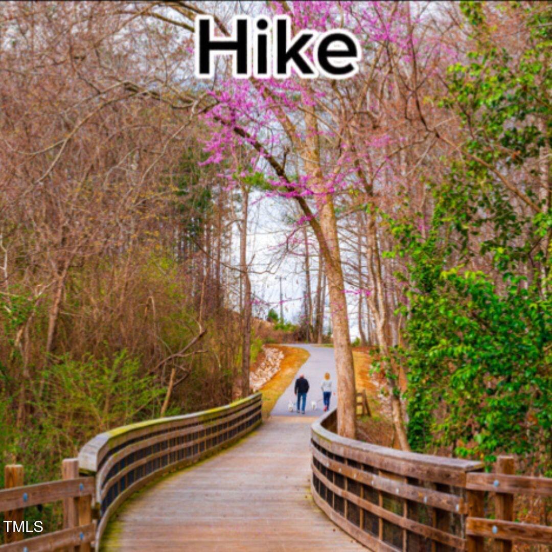 294 White Azalea Way Benson NC 27504