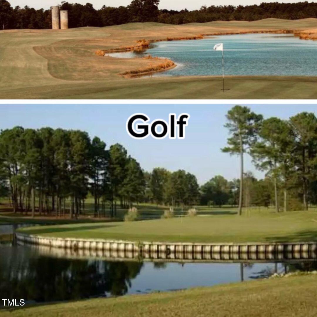 294 White Azalea Way Benson NC 27504