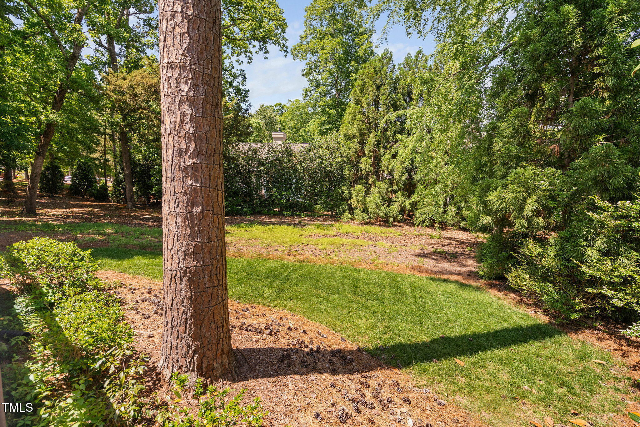 72103 Moseley Chapel Hill NC 27517