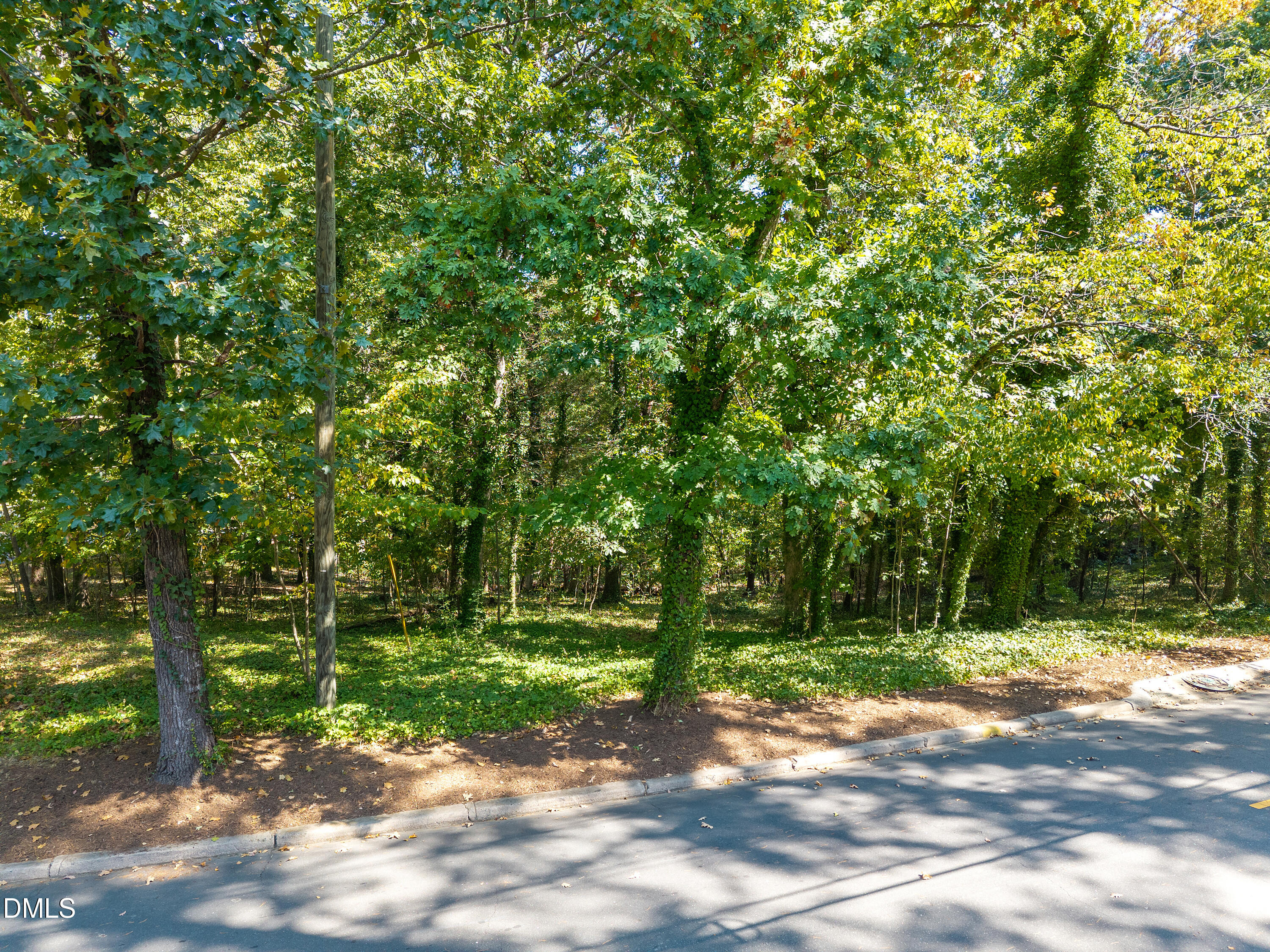 401 Laurel Hill Road Chapel Hill NC 27514