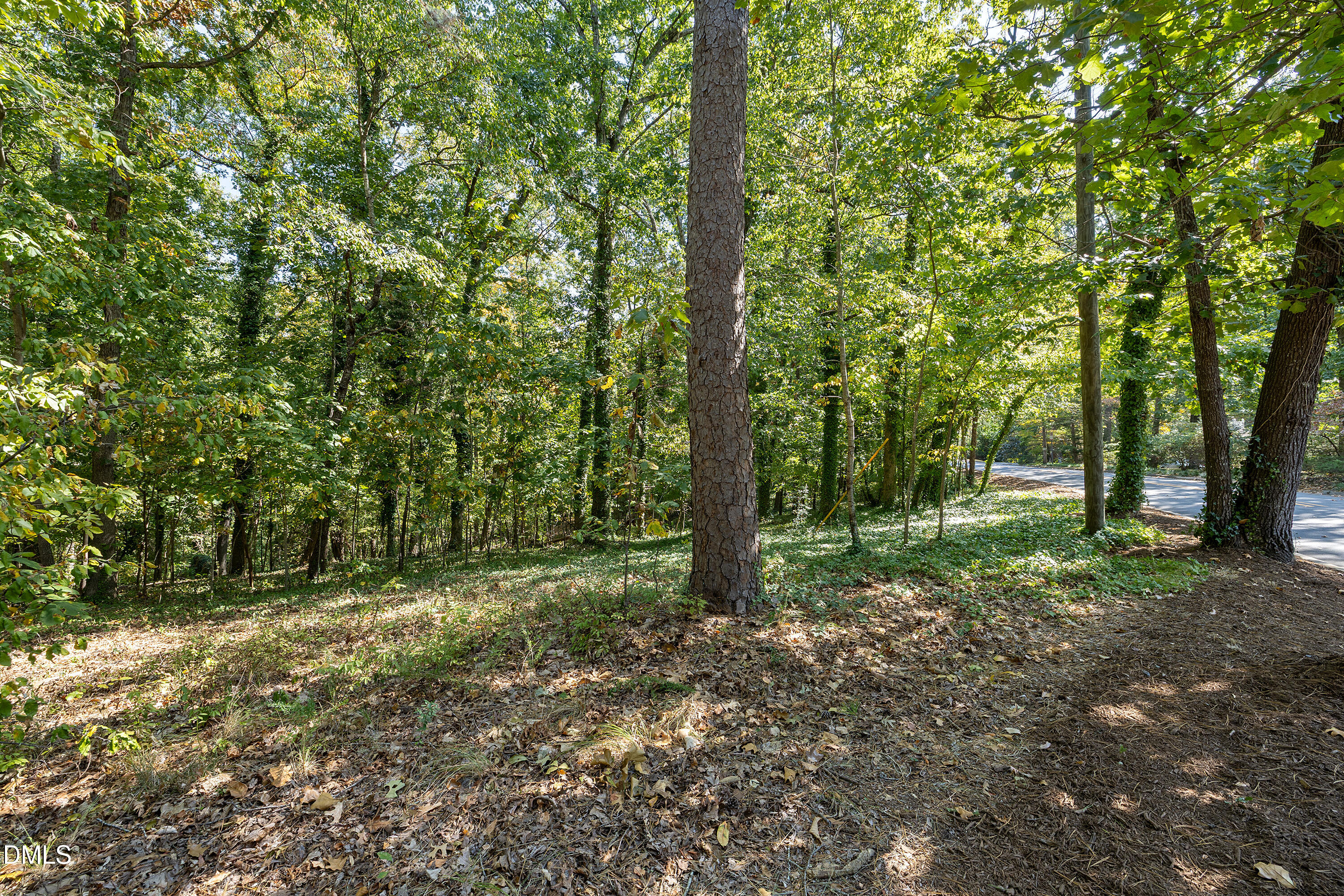 401 Laurel Hill Road Chapel Hill NC 27514