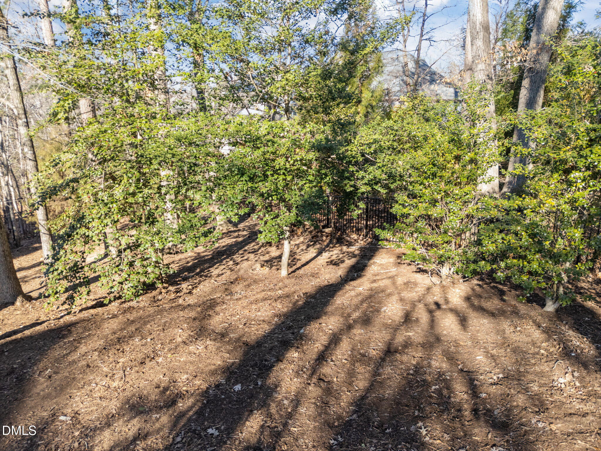 219 Brown Bear Chapel Hill NC 27517