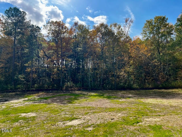 196 Cozy Brook Court Clayton NC 27520