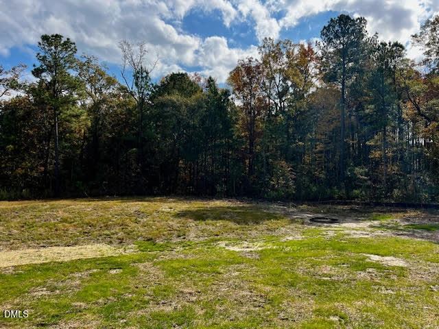 196 Cozy Brook Court Clayton NC 27520