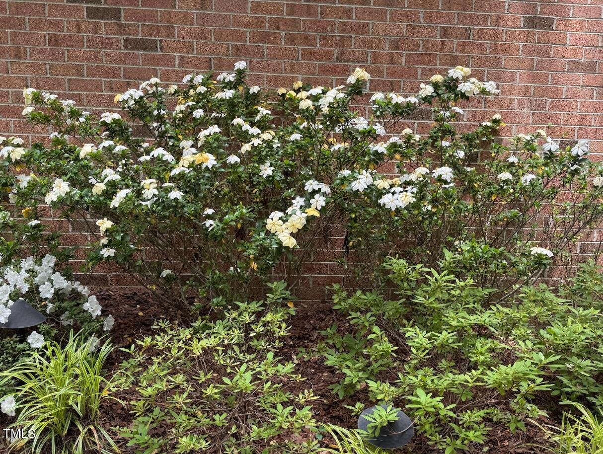 81106 Alexander Chapel Hill NC 27517