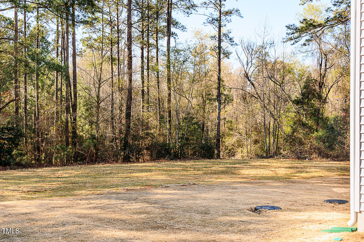 68 Tee Time Terrace Benson NC 27504