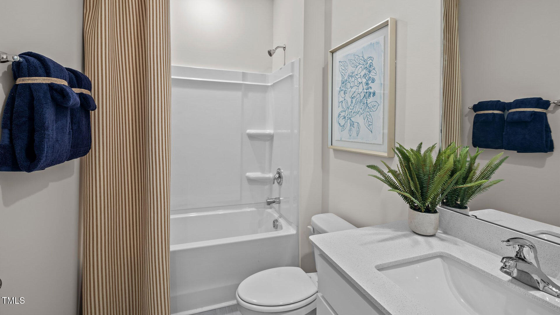 71 Saddle Mare Street Clayton NC 27520