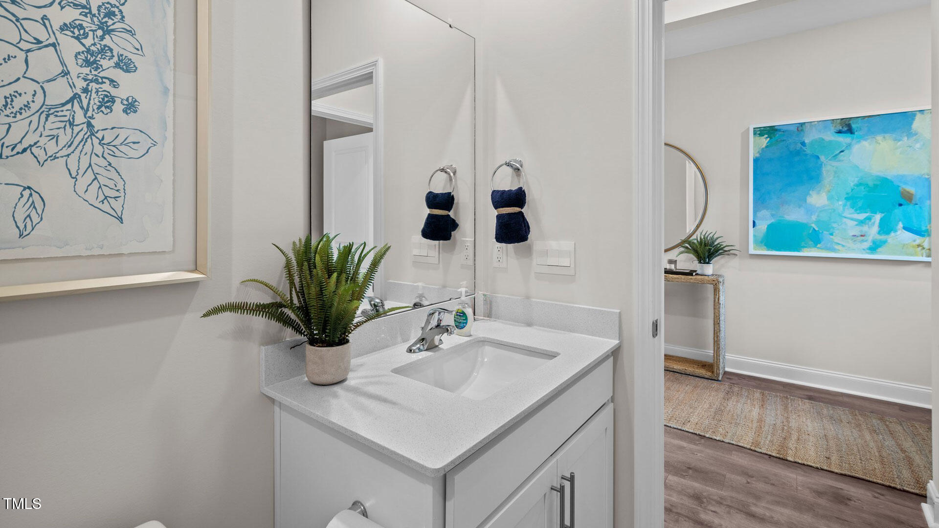 71 Saddle Mare Street Clayton NC 27520