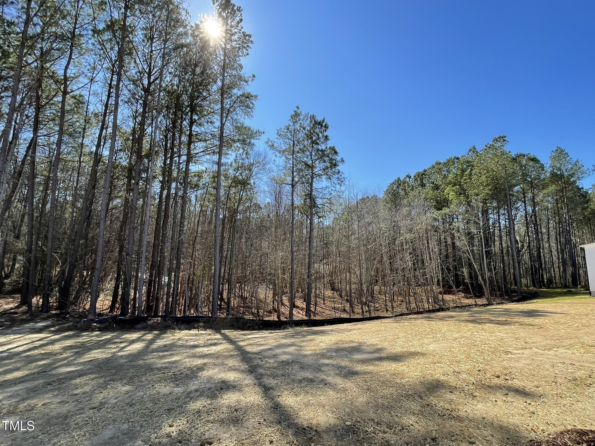 223 Magnolia Run Way Benson NC 27504