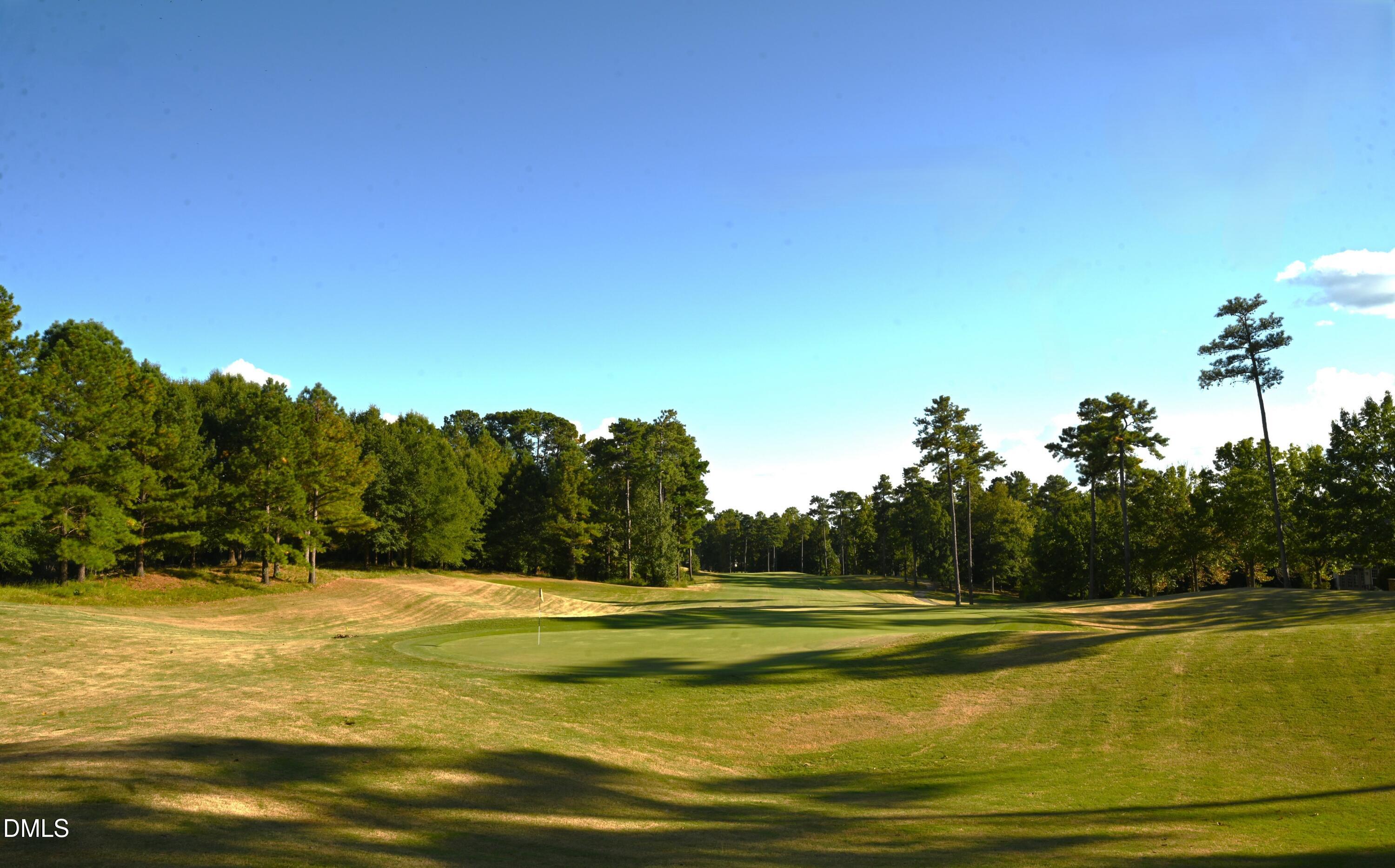 745 The Preserve Trail Chapel Hill NC 27517