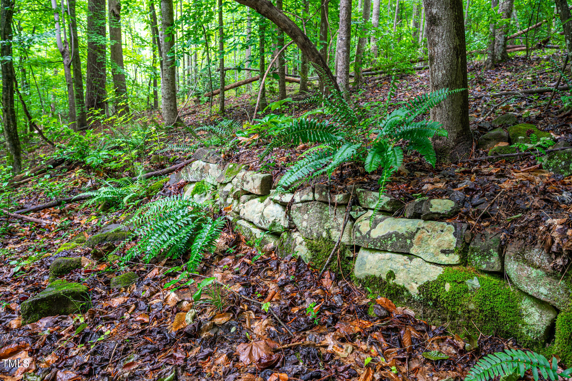 708 October Woods Road Chapel Hill NC 27516