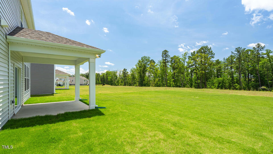 176 Red Jasper Way Clayton NC 27520