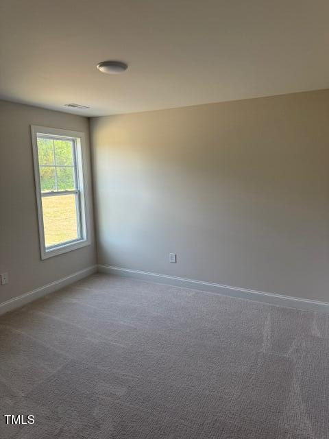 23 Surles Landing Way Benson NC 27504