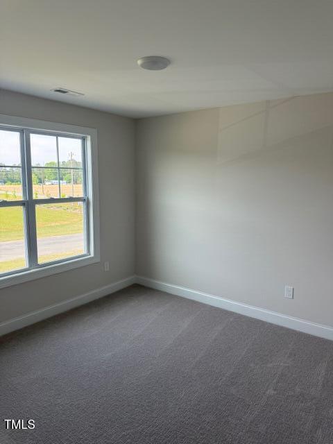 23 Surles Landing Way Benson NC 27504