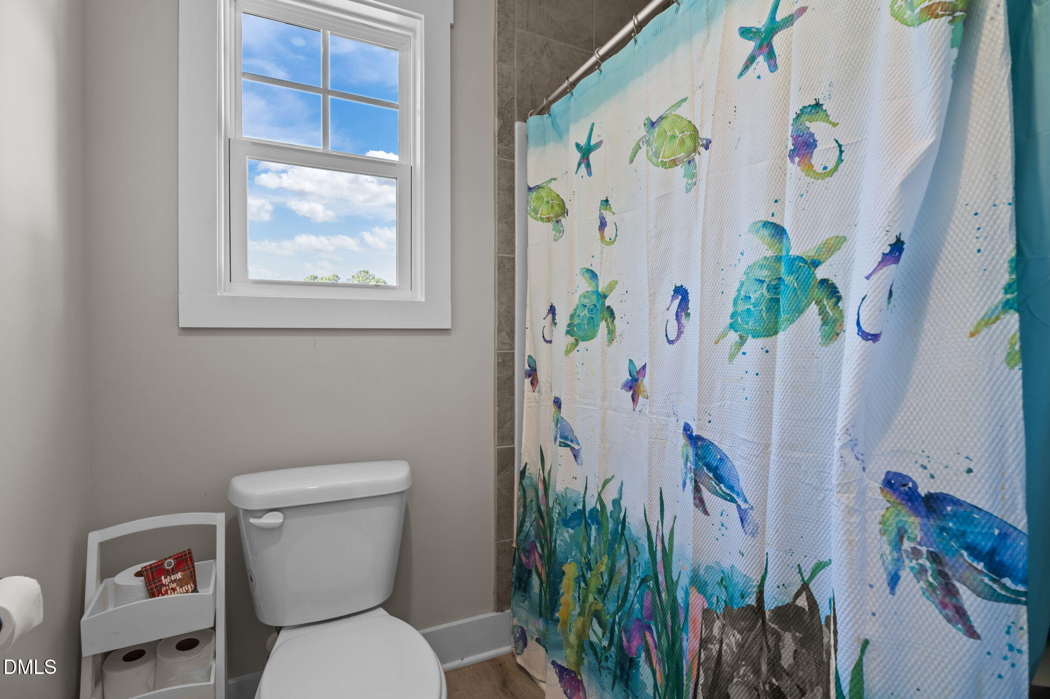 255 Ravens Row Drive Benson NC 27504