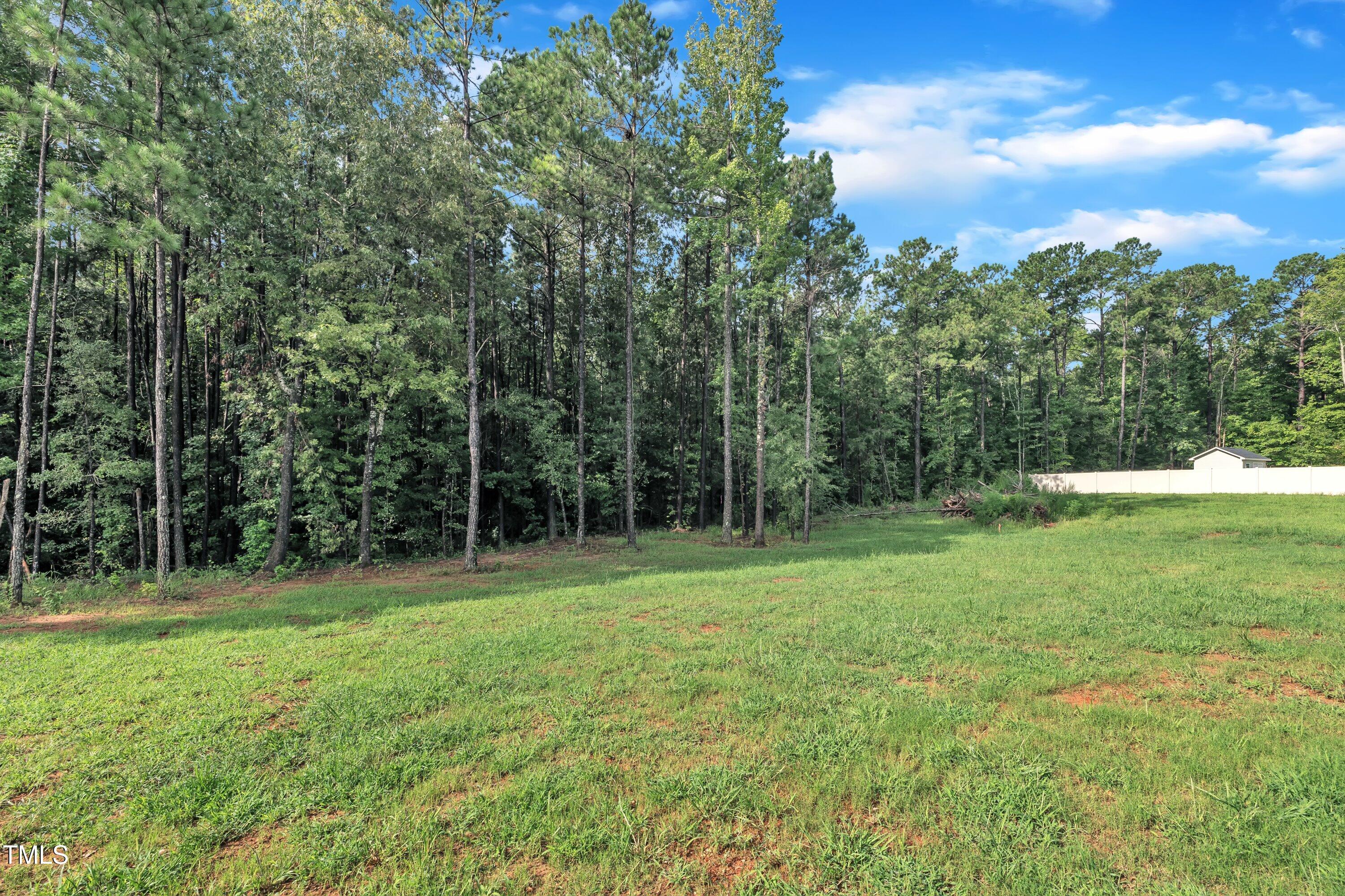 358 Coats Ridge Drive Benson NC 27504