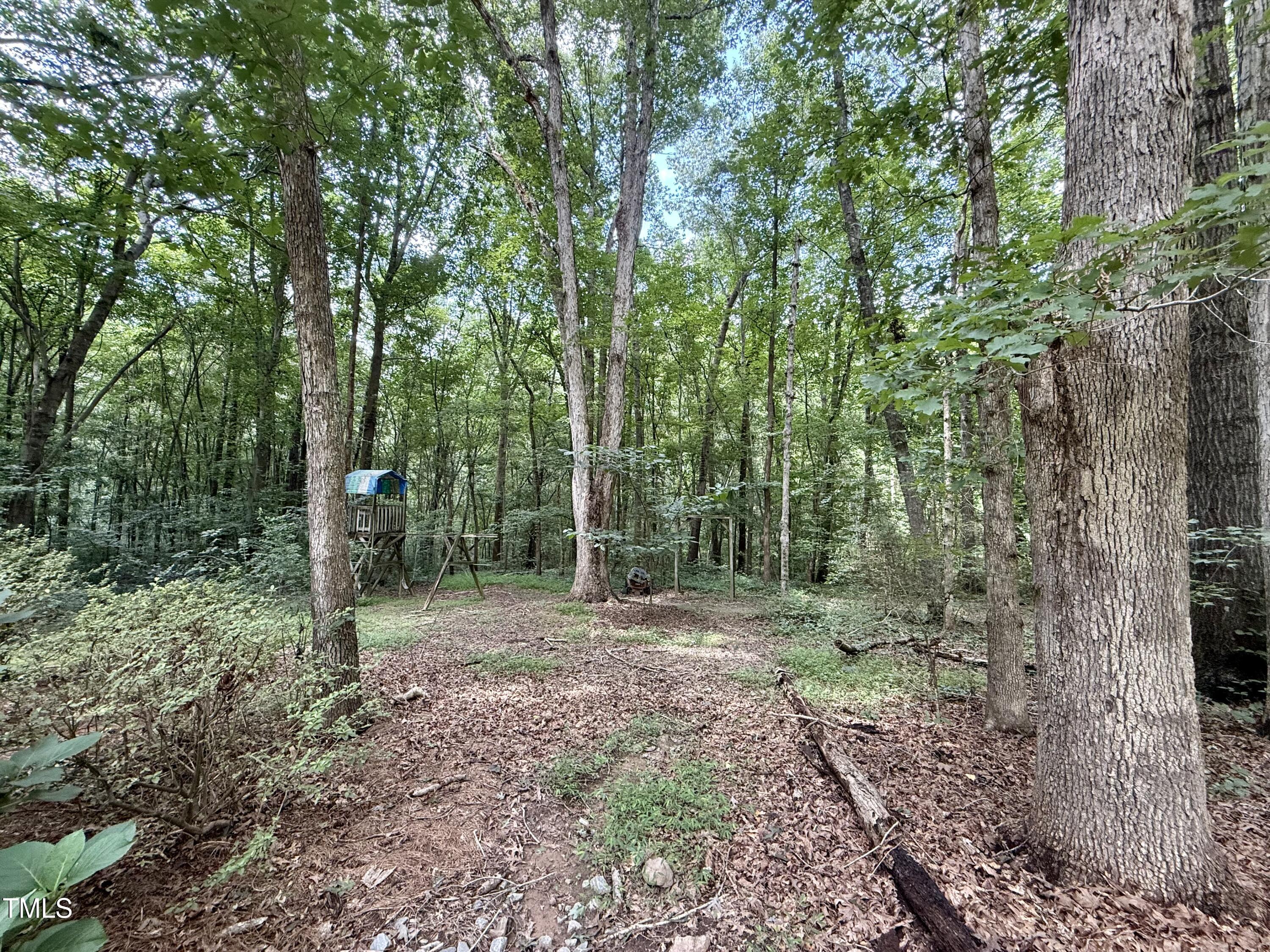 212 Long Needle Drive Clayton NC 27520