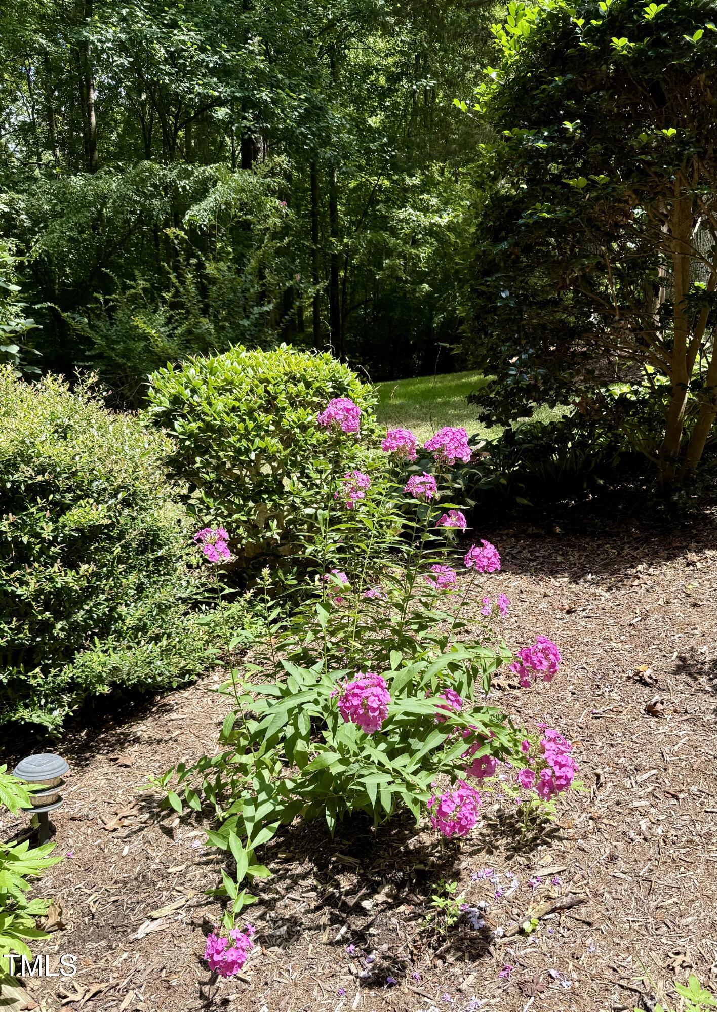 212 Long Needle Drive Clayton NC 27520