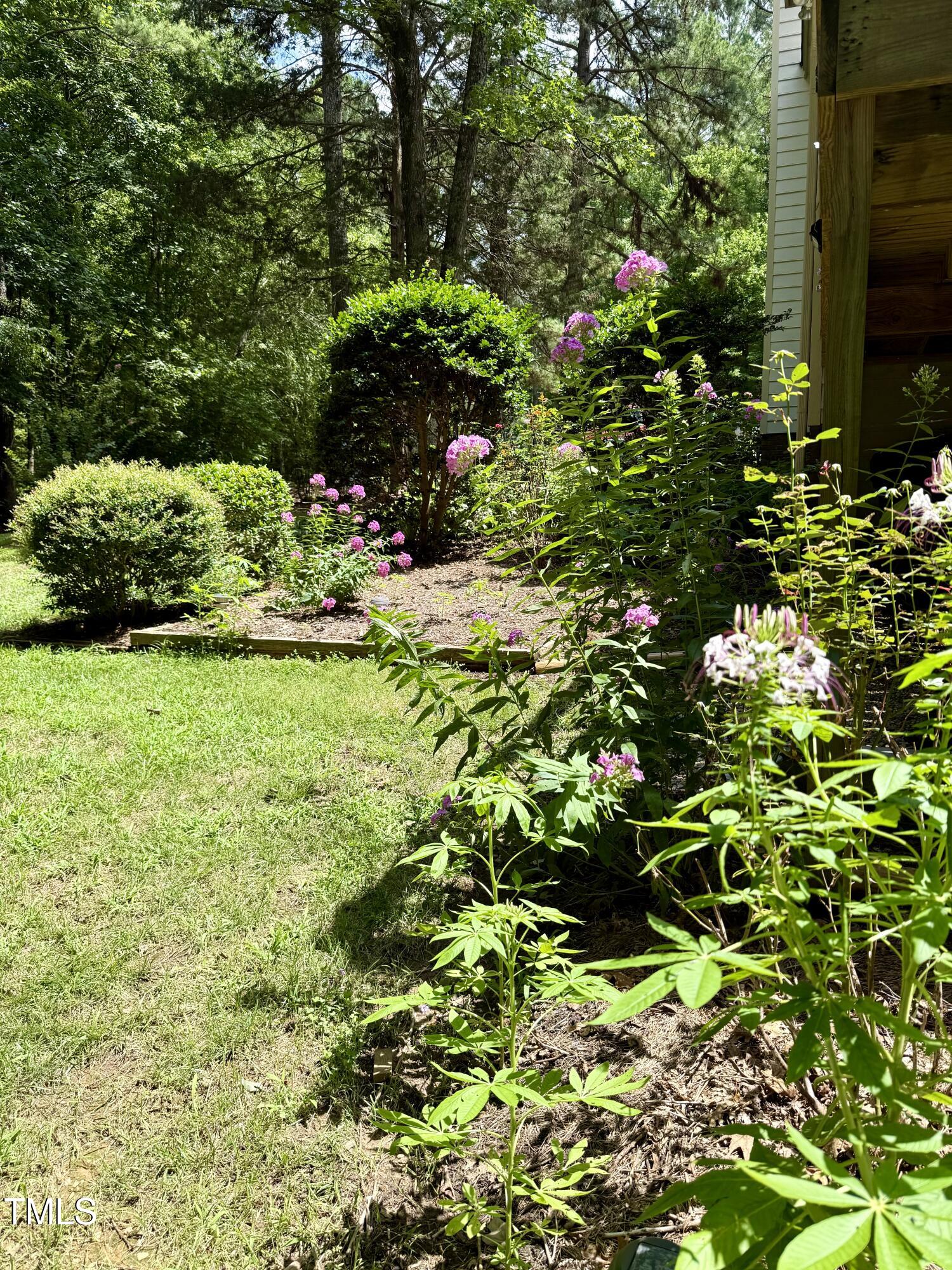 212 Long Needle Drive Clayton NC 27520