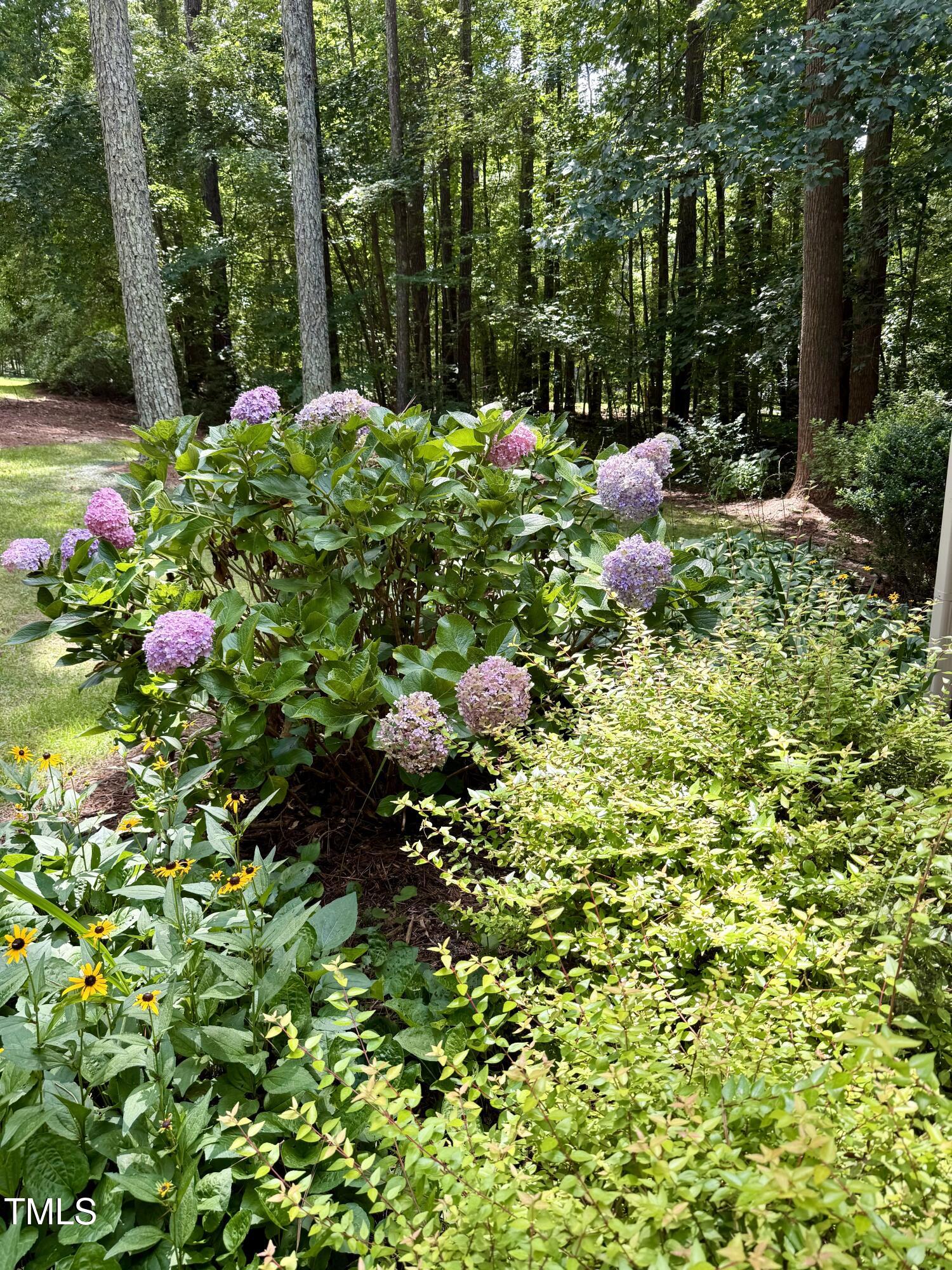 212 Long Needle Drive Clayton NC 27520