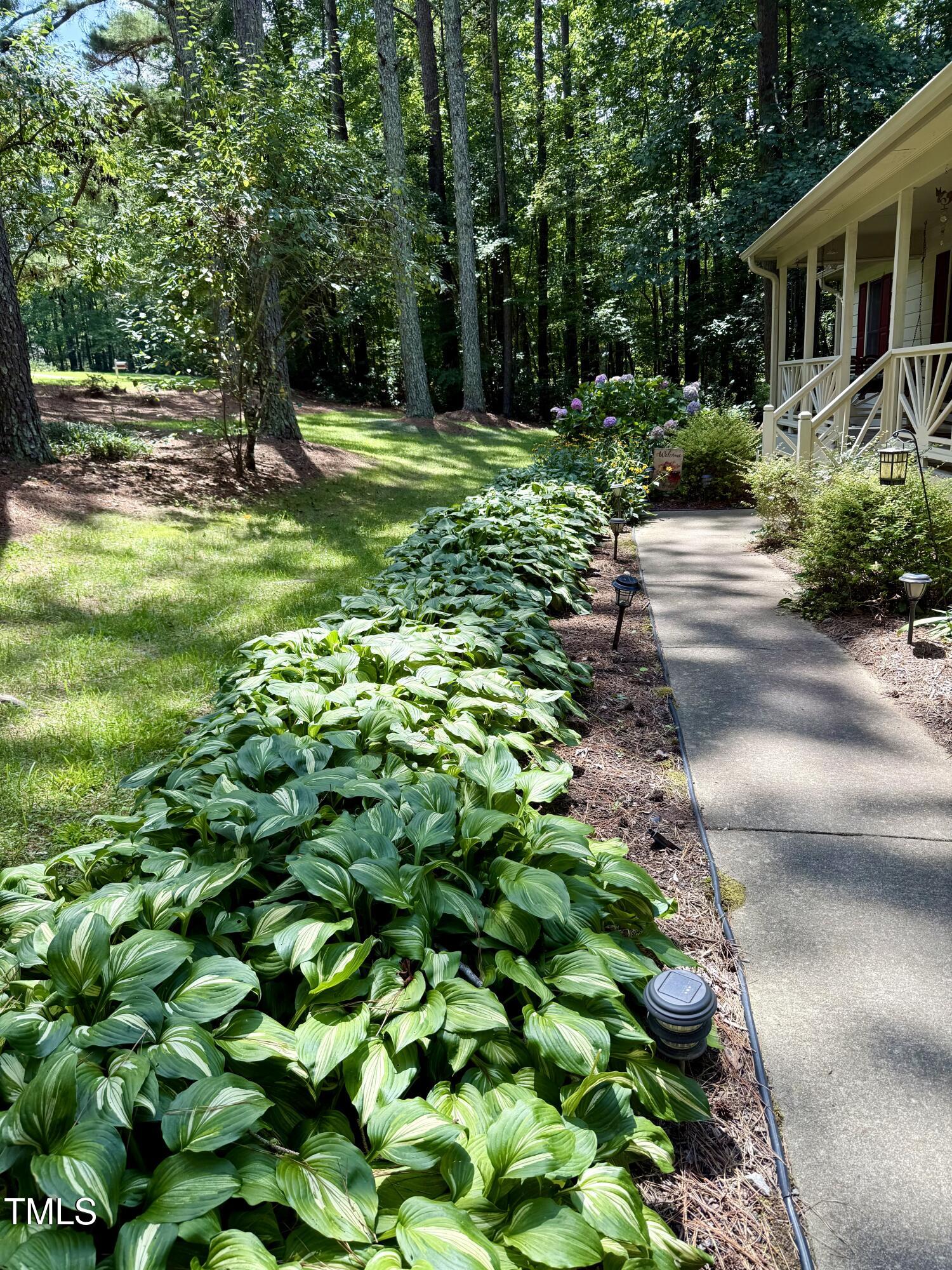 212 Long Needle Drive Clayton NC 27520