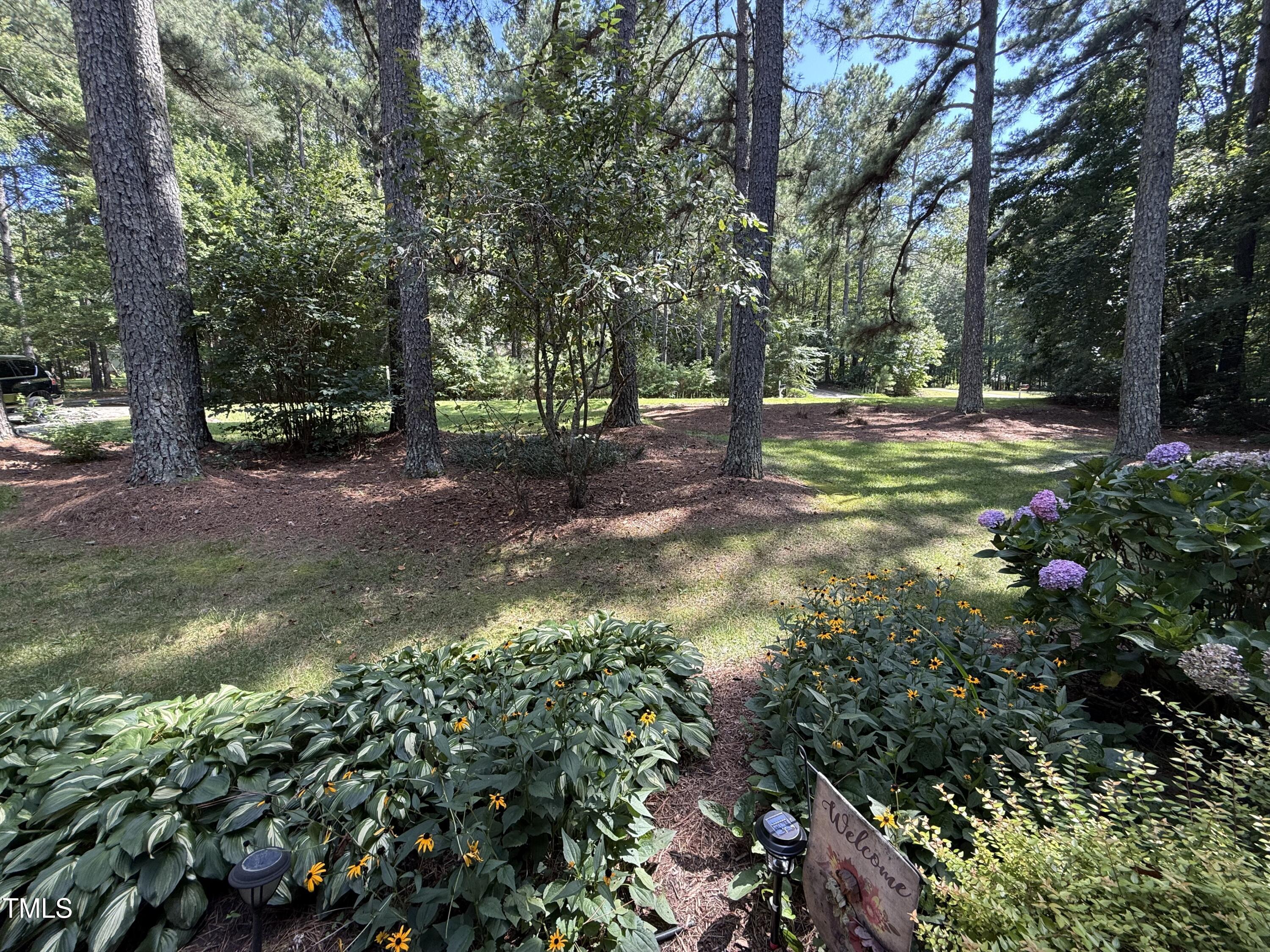 212 Long Needle Drive Clayton NC 27520