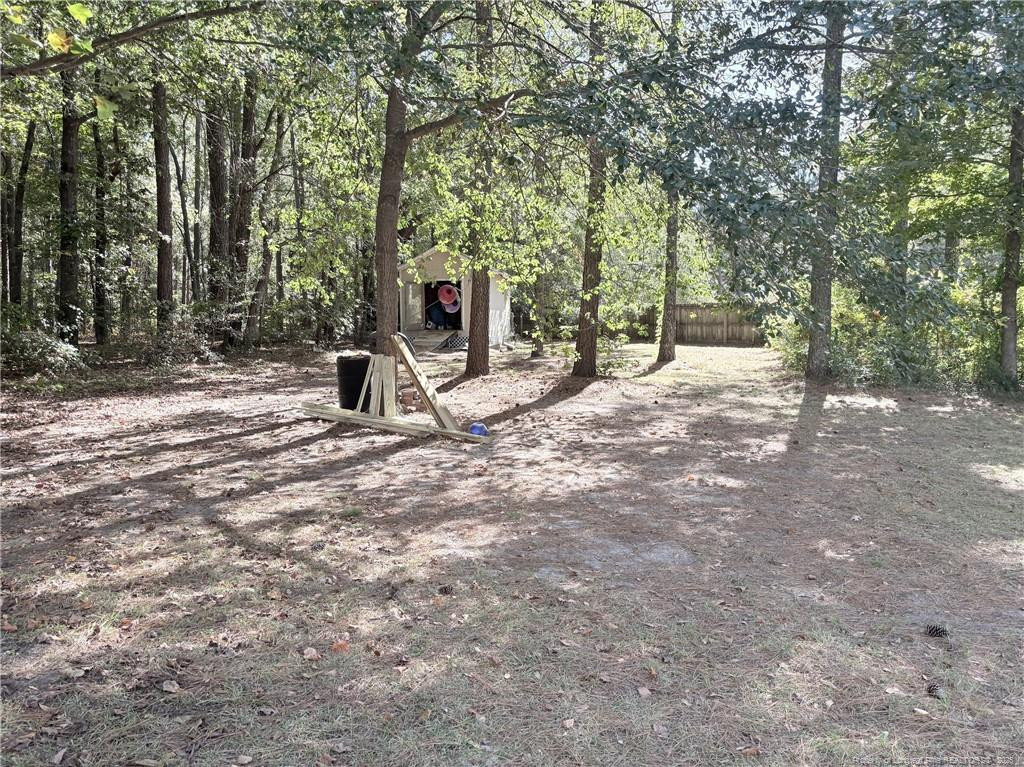 405 La Vista Court Benson NC 27504