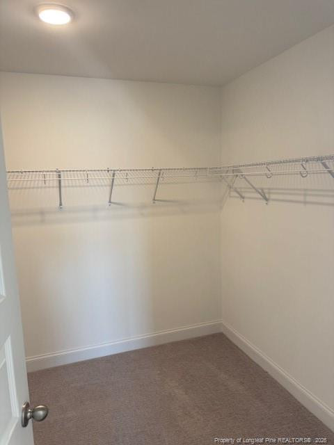 23 Surles Landing Way Benson NC 27504