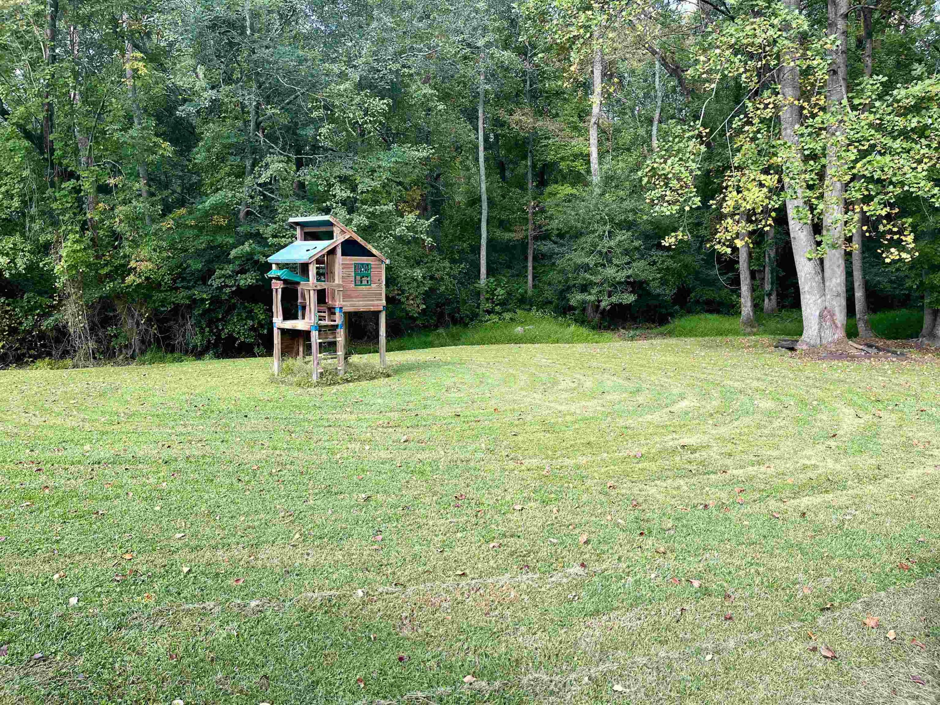 1229 Tulip Street Clayton NC 27520