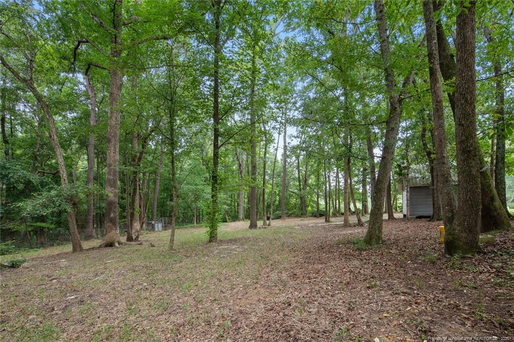 151 Mills Pond Road Benson NC