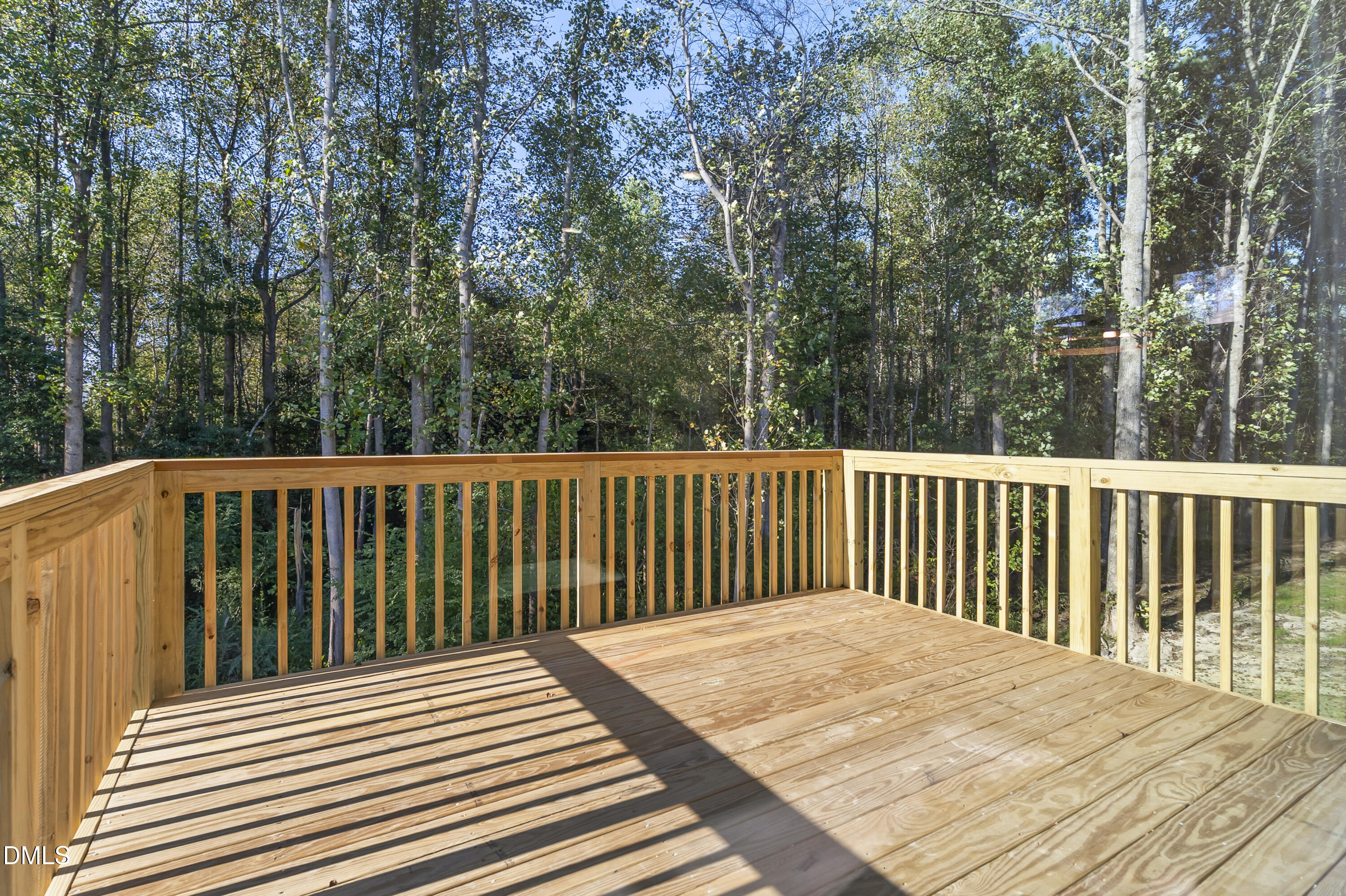 209 E American Marigold Drive Benson NC 27504