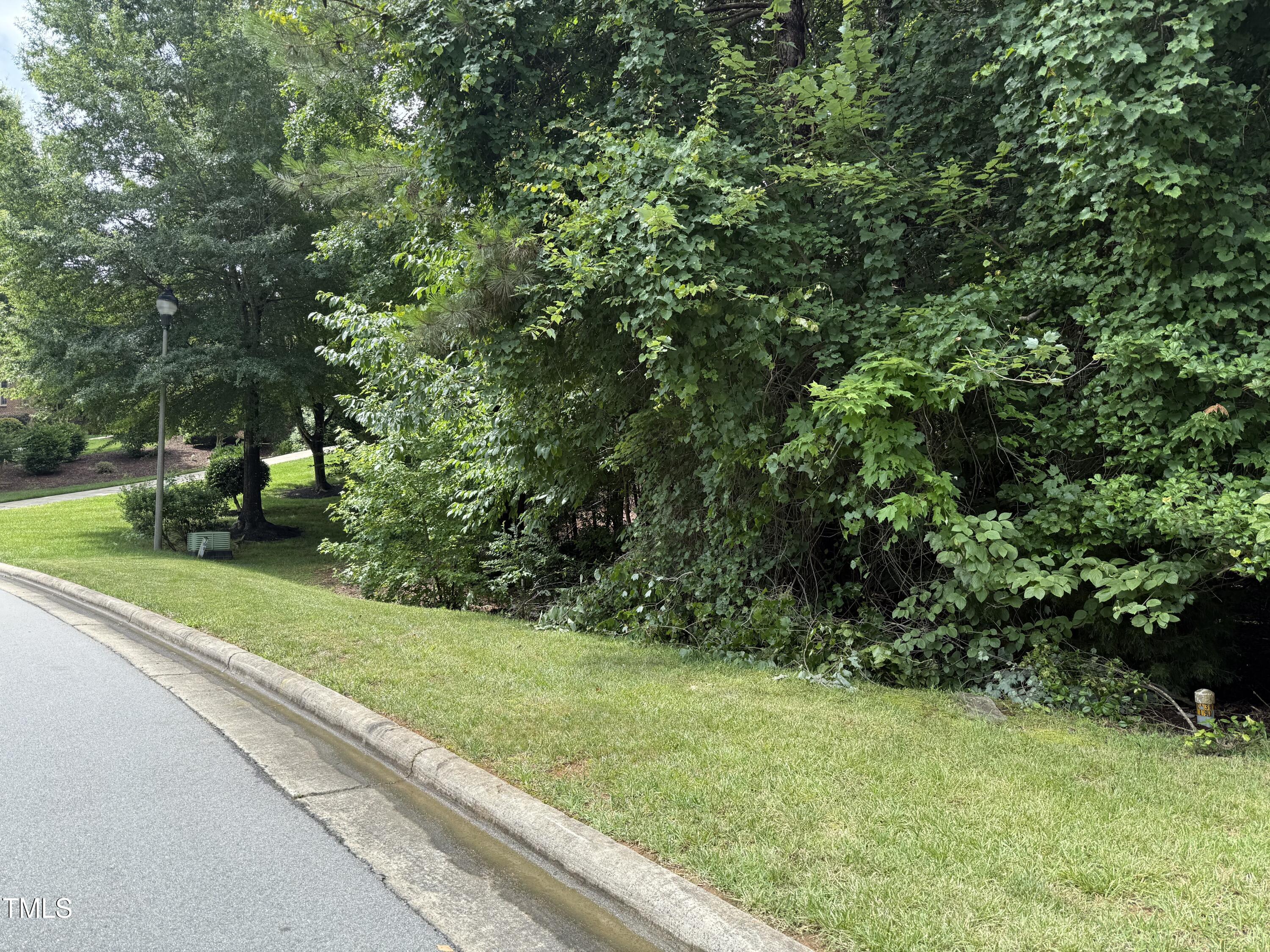 533 Bear Tree Creek Chapel Hill NC 27517